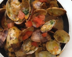 Vongole