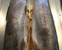 Ces truite saumonée seront servies sur réduction de cidre aux échalotes, tagliatelles de poireaux et de carottes glacées